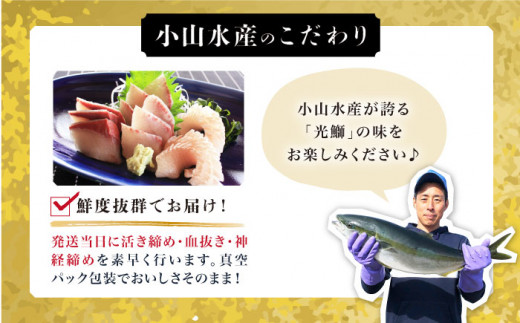 【着日指定可】魚 ブロック 養殖 ブリ「光鰤」1本 3.6～4kg  西海市産 魚 ブロック 刺身 ブリ ぶり ブリしゃぶ ＜小山水産＞ [CDZ006]