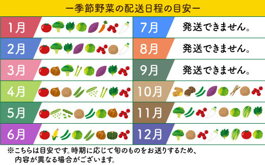 野菜 詰め合わせ（8種以上） 西海 野菜 詰め合わせ 旬 新鮮 採れたて ＜西海町特産品直売所 よかところ＞ [CBO001]