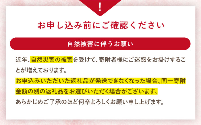 【大玉色鮮やか！】西海市産いちご「おおきみ」2kg（250g×8パック）＜武藤農園＞ [CFV005]