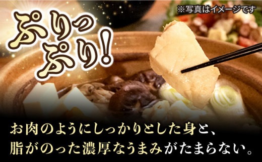 【数量限定】【 訳あり 】 天然 クエ 鍋セット 計500g（切り身約300g・しゃぶしゃぶ用約200g） ＜大瀬戸町漁業協同組合＞ [CAR006]