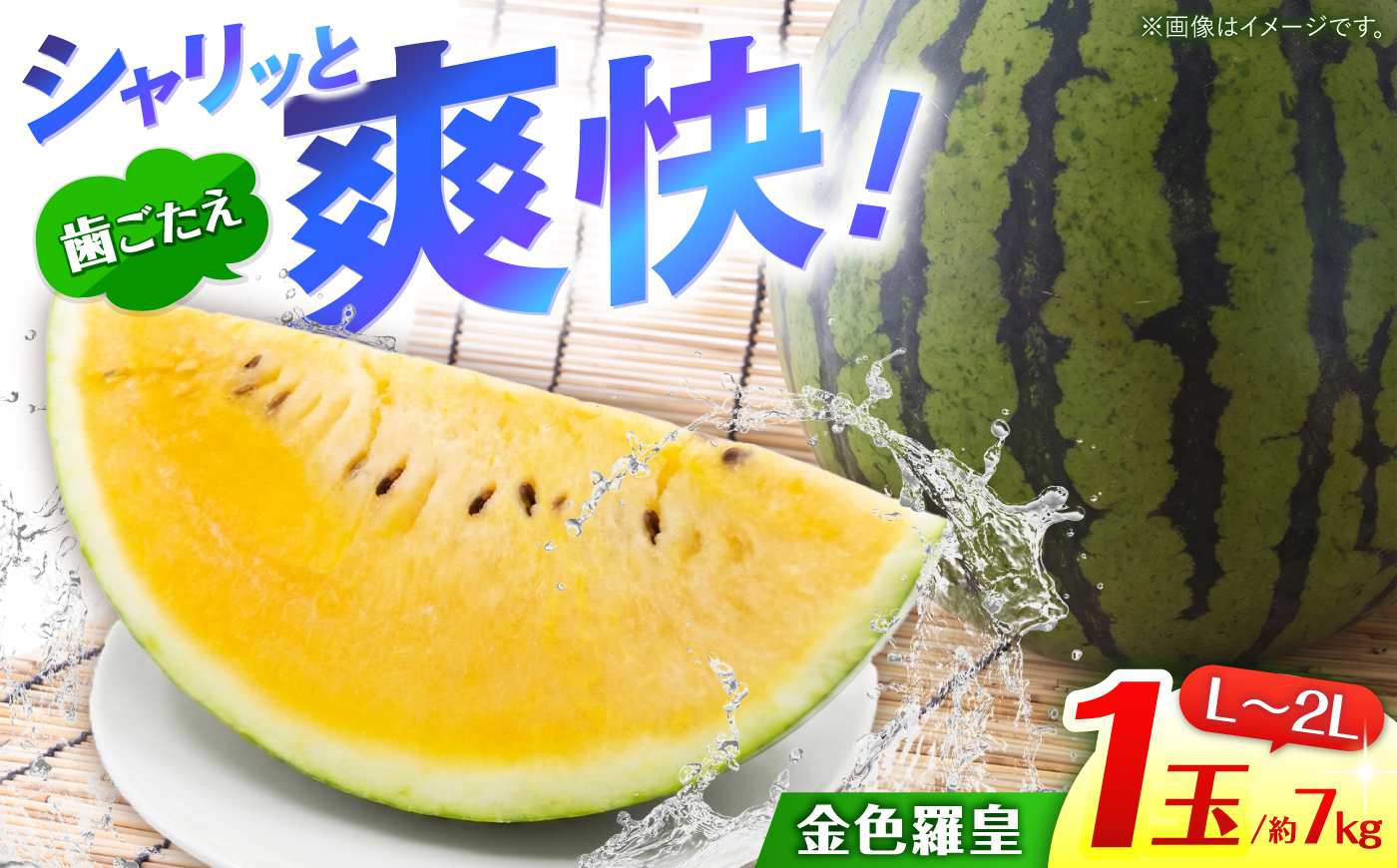 金色羅皇 1玉（L～2L） 約7kg ＜AgriBaseさいかい＞ [CGV006]