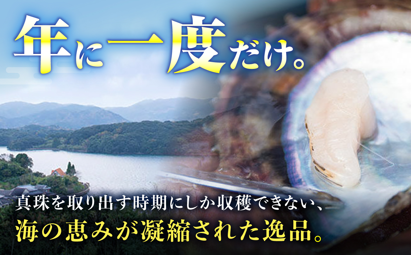 【先行予約☆幻の味】 真珠貝（アコヤ）の貝柱 1kg ＜西彼町漁協＞ [CBZ007]