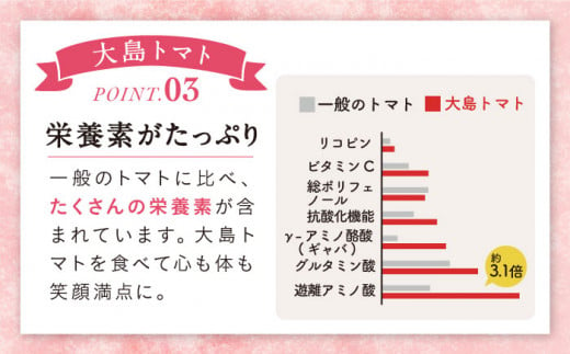 高糖度 トマト 【2025年収穫分先行予約】 高糖度 トマト 【糖度8度以上！】 大島トマト 約3kg   西海市産 トマト とまと 野菜 新鮮 旬 ＜大島造船所 農産グループ＞ [CCK005]
