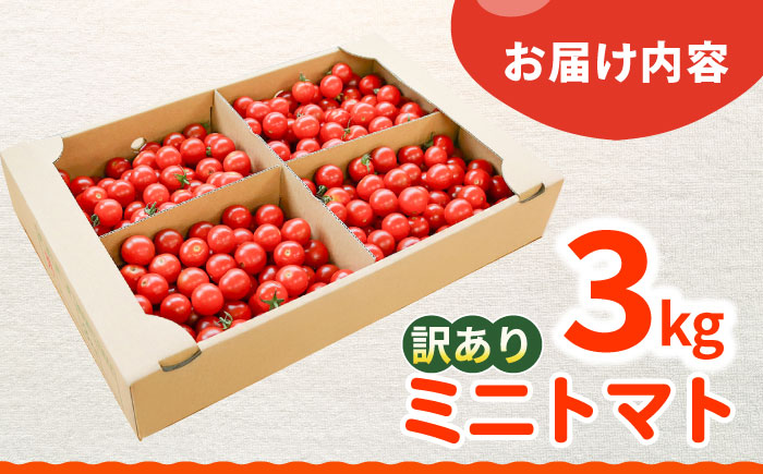 【先行予約：11月より発送】 訳あり ミニ トマト 約3kg ＜白石農園＞ [CBI003] 西海市産 トマト とまと 野菜 新鮮 旬 トマト 