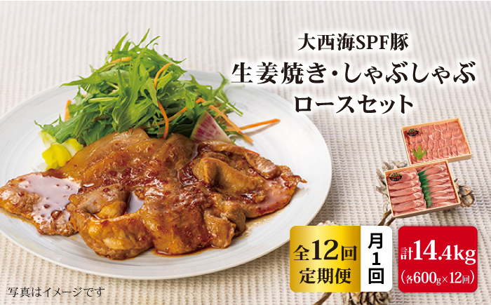 【月1回約1.2kg×12回定期便】大西海SPF豚 背ロース しょうが焼き用＆しゃぶしゃぶ用 計14.4kg 訳あり ＜大西海ファーム＞ [CEK101]
