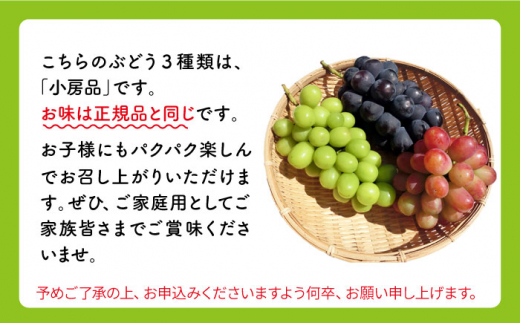 【訳あり】【ご家庭用におすすめ♪】県内唯一の技術で栽培した「ぶぶぶどう」ぶどう3色食べ比べ（1.5～2.0kg） [CCE008]