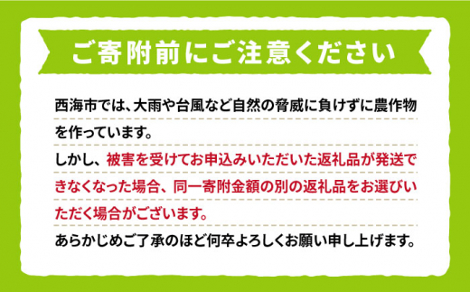 【数量限定】 とにかく甘い！シャインマスカット約2kg（3房～4房）＜岡本ぶどう園＞ [CEN011]