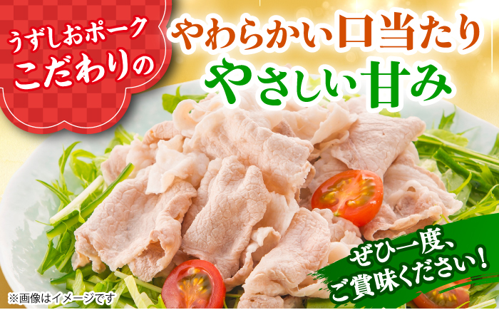 長崎うずしおポーク SPF豚 こま切れ 計1.5kg（500g×3パック） 訳あり ＜スーパーウエスト＞[CAG015]  長崎 西海 国産 肉 便利 小分け