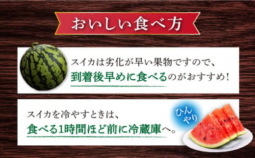 スイカ 羅王 1玉（約6kg～7kg）【☆先行予約☆】  果物 くだもの フルーツ すいか スイカ 西瓜 大玉 長崎県産 西海市産 ＜ファームまるだ＞ [CDT007]