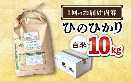 【6回定期便】 ひのひかり 白米 10kg ＜ハマソウファーム＞ [CBR026]