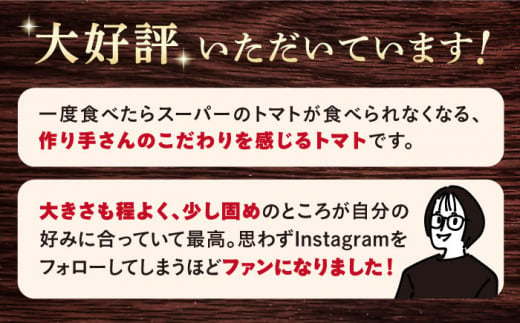 高糖度 トマト 【2025年収穫分先行予約】 高糖度 トマト 【糖度8度以上！】 大島トマト 約3kg   西海市産 トマト とまと 野菜 新鮮 旬 ＜大島造船所 農産グループ＞ [CCK005]
