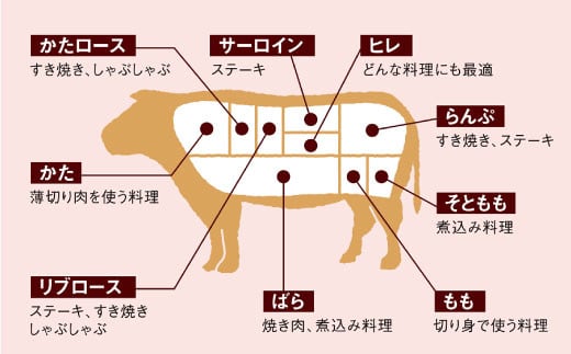 【訳あり】【食べ比べ♪】長崎和牛 肩ロース（焼肉用＆すき焼き/しゃぶしゃぶ用）計１kg（各500g）＜大西海ファーム＞ [CCY023]