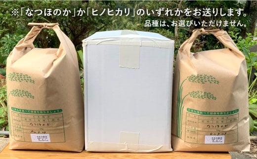 【先行予約☆数量限定】 令和6年産 新米 白米 （ なつほのか or ヒノヒカリ ） 10kg （5kg×2袋） 白米 米 ひのひかり なつほのか 10kg ＜夢農園 モリピー＞ [CEJ002]