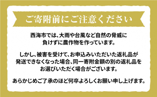 【 令和5年産 新米 ☆先行予約】【木村式自然栽培】 玄米 くまみのり 約 10kg ＜ハマソウファーム＞ [CBR019]