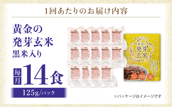 【3回定期便】【農家のこだわり米】 黄金の発芽玄米 黒米入り 125g×14食＜AgriBaseさいかい＞ [CGV004]