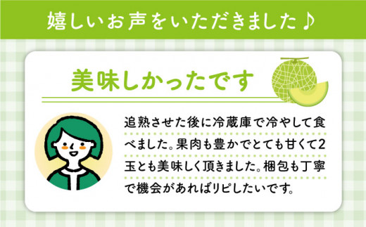 【先行予約☆1本の樹から1玉だけ】大島メロン「ミラノ」2玉（計3.2～4.8kg）＜大島造船所 農産グループ＞ [CCK021]