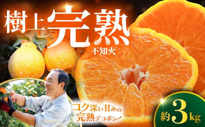 【☆先行予約☆】糖度13〜15度！ハウス木成 完熟 不知火 約3kg ＜原口果樹園＞ [CCW005] 西海市 デコポン 不知火 みかん 柑橘 完熟 甘い でこぽん 