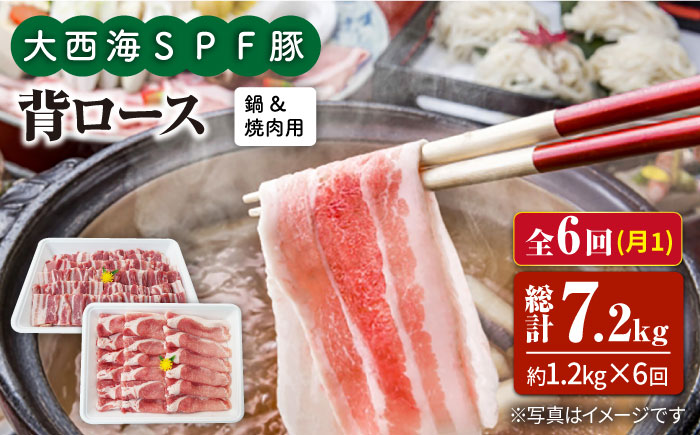 【月1回1.2kg×6回定期便】大西海SPF豚 背ロース（焼肉＆しゃぶしゃぶ用）計7.2kg 訳あり ＜大西海ファーム＞ [CEK099]