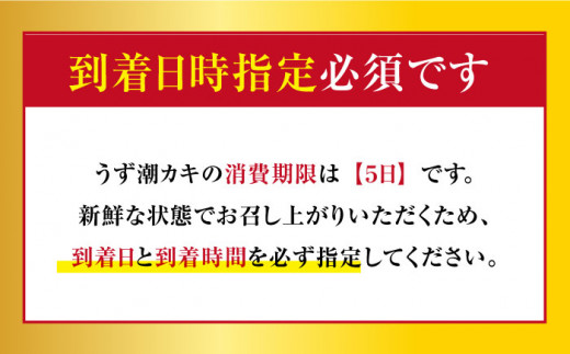 牡蠣 カキ 【着日指定可☆オゾン水で24時間浄化】【冷蔵】 うず潮 カキ 約5kg（約50～80個） 牡蠣 カキ 生牡蠣 生ガキ 殻つき 冷蔵 西海 長崎 贈答 ギフト 日時指定可  ＜西彼町漁協＞［CBZ002］