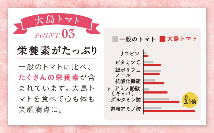 今シーズンお届け☆【 訳あり 】 糖度8度以上！ 大島 トマト 約1.8kg＜大島造船所 農産グループ＞ [CCK007] 長崎 西海 トマト とまと 大島トマト 高糖度 贈答 不揃い 訳あり