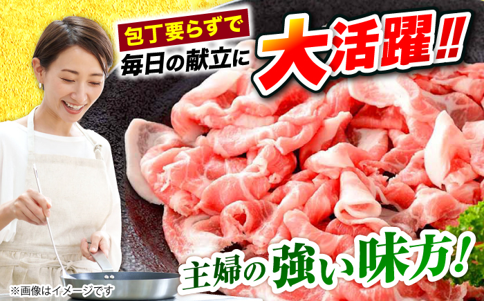 【12回定期便】【使い勝手◎】長崎うずしおポーク こま切れ 計1kg（500g×2P）＜スーパーウエスト＞ [CAG313]
