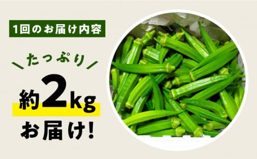 【3回定期便】【先行予約】 オクラ 約2kg おくら 夏野菜 野菜 オクラ やさい 新鮮 ＜パッパラパー農園＞ [CFI006]