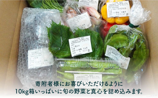 野菜 詰め合わせ（8種以上） 西海 野菜 詰め合わせ 旬 新鮮 採れたて ＜西海町特産品直売所 よかところ＞ [CBO001]