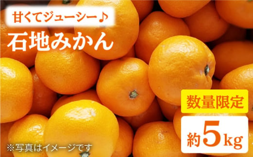 みかん 西海 【☆先行予約☆】 石地 みかん 約5kg  みかんミカン 西海市 温州みかん 石地みかん 贈答 ギフト 家庭用 ＜中尾果樹園＞ [CEL002]