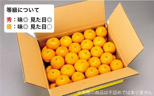 【先行予約☆限定100箱】【 訳あり 】西海1号（温州 みかん ）約 5kg （優品/Mサイズ）＜西海柑橘農業協同組合＞ [CCF003]