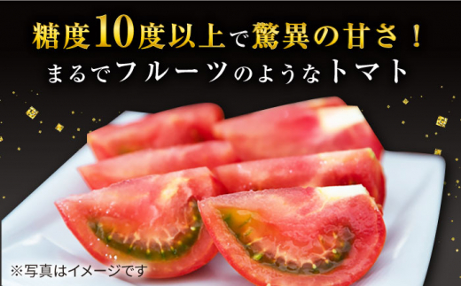 トマト ミスズプレミアム トマト 「ルージュ」約 1kg （9個） 西海市産 トマト とまと 野菜 新鮮 旬 ＜株式会社ミスズアグリ西海＞ [CFN001]