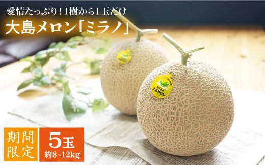 【先行予約☆1本の樹から1玉だけ】大島メロン「ミラノ」5玉（計8～12kg）＜大島造船所 農産グループ＞ [CCK022]