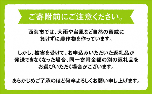 【訳あり】【数量限定】【甘くて大きい】新高梨 約5kg＜岡本　満博＞ [CEN010]