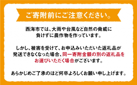 みかん 【11月から毎月届く♪6回定期便】 旬の みかん 定期便 西海市 みかん 蜜柑 柑橘 定期便 みかん ミカン みかん ＜中尾果樹園＞ [CEL005]