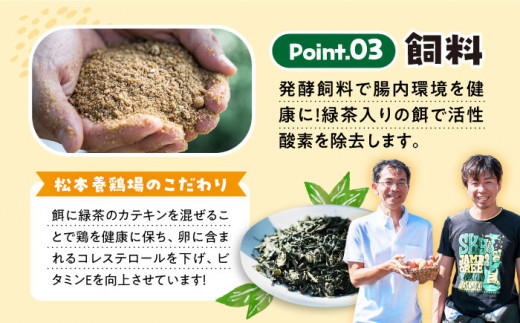 まつもとたまご Lサイズ 赤玉 60個 長崎県産 西海市 たまご 卵 玉子 タマゴ 鶏卵 オムレツ 卵かけご飯 朝食 料理 人気 卵焼き ＜松本養鶏場＞[CCD005]