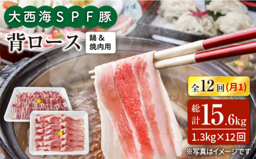 【訳あり】【月1回約1.3kg×12回定期便】大西海SPF豚 背ロース（焼肉＆しゃぶしゃぶ用）計15.6kg＜大西海ファーム＞ [CEK129]