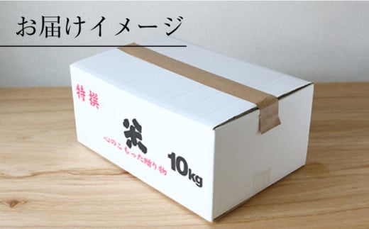 【 令和5年産 新米 ☆先行予約】【木村式自然栽培】 玄米 くまみのり 約 20kg ＜ハマソウファーム＞ [CBR020]