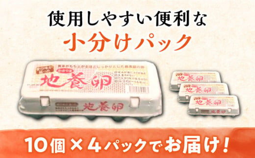 【12回定期便】最高級 卵 かきやまの「地養 卵 」 Lサイズ 40個 国産たまご たまご 卵 玉子 タマゴ 鶏卵 たまごやき 卵かけご飯 卵焼き たまご 西海市産 ＜垣山養鶏園＞ [CBB004]