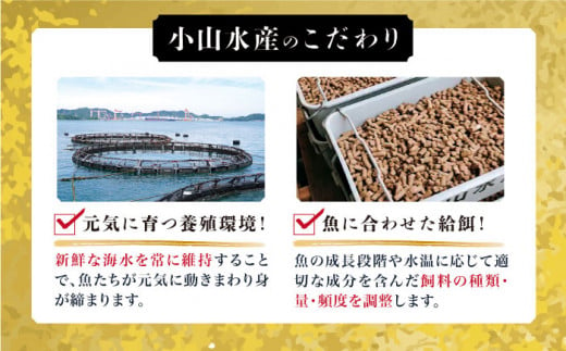 【着日指定可】魚 ブロック 養殖 ブリ「光鰤」1本 3.6～4kg  西海市産 魚 ブロック 刺身 ブリ ぶり ブリしゃぶ ＜小山水産＞ [CDZ006]