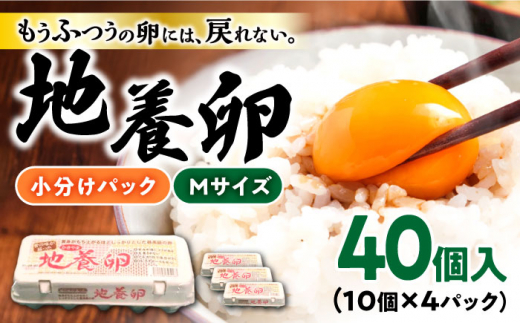 最高級 卵 地養卵 Mサイズ 40個 長崎県産 西海市 たまご 卵 玉子 タマゴ 鶏卵 オムレツ 卵かけご飯 朝食 料理 人気 卵焼き＜垣山養鶏園＞ [CBB017]