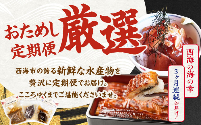【3回定期便】海の幸〜見つけた！西海の宝物 定期便 〜 [CZZ026]  長崎 西海 魚 海の幸 海鮮 加工品 うなぎ 海鮮丼 贈答 ギフト