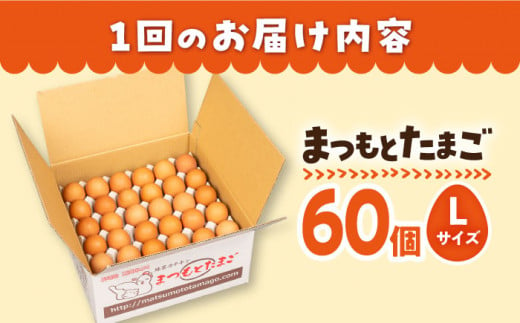 【6回定期便】 まつもとたまご  Lサイズ 赤玉 60個 ＜松本養鶏場＞[CCD007]