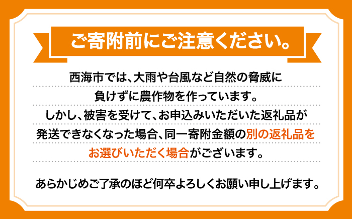 【ご家庭用】【訳あり】 原口みかん 約 5kg（S〜Mサイズ混合） ＜最強の兼業農家山田さん＞ [CCX009]