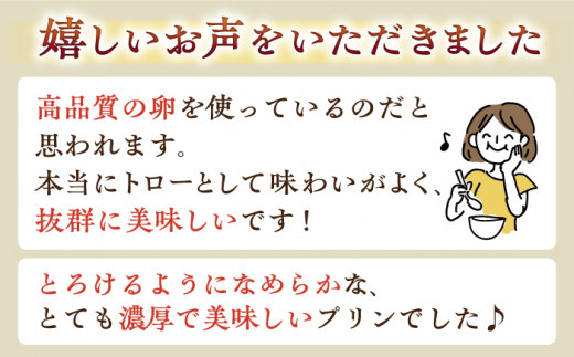 【3回 定期便 】平飼い卵 プリン 冷蔵 ジュリアン プリン 6本  西海市 プリン ぷりん 冷蔵配送 卵 たまご ＜お菓子のいわした＞ [CAM027]