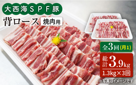 【訳あり】【月1回1.3kg×3回定期便】大西海SPF豚 背ロース（焼肉用）計3.9kg＜大西海ファーム＞ [CEK096]