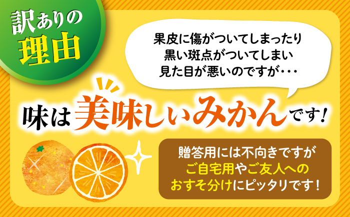 【ご家庭用】【訳あり】 原口みかん 約 5kg（S〜Mサイズ混合） ＜最強の兼業農家山田さん＞ [CCX009]