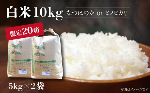 【先行予約☆数量限定】 令和6年産 新米 白米 （ なつほのか or ヒノヒカリ ） 10kg （5kg×2袋） 白米 米 ひのひかり なつほのか 10kg ＜夢農園 モリピー＞ [CEJ002]