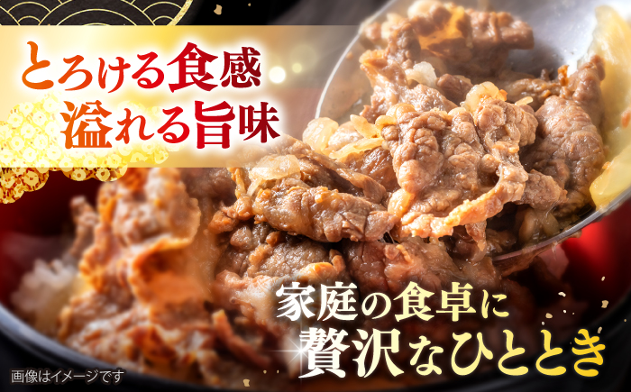 【12回定期便】長崎県産 黒毛和牛 切り落とし 約500g＜宮本畜産＞ [CFA052]