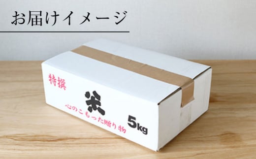 【令和6年産 新米】【木村式自然栽培】 白米 くまみのり 約 5kg ＜ハマソウファーム＞ [CBR012]