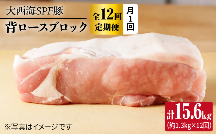 【月1回約1.3kg×12回定期便】大西海SPF豚 背ロースブロック＜大西海ファーム [CEK117]