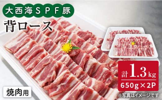 【訳あり】【焼肉革命】大西海SPF豚 背ロース（焼肉用）計1.3kg（650g×2パック）＜大西海ファーム＞ [CEK038]